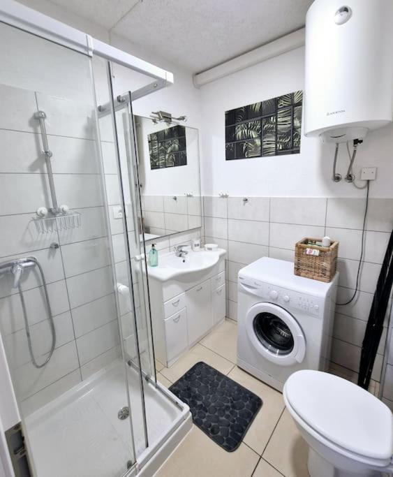 Apartment Ognissanti 2 - Free Parking 科佩尔 外观 照片